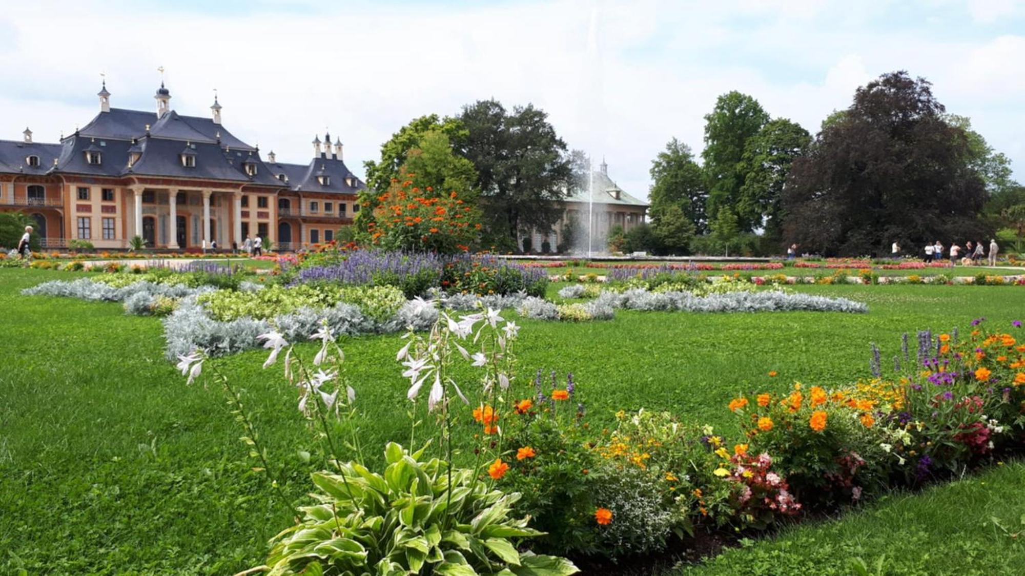 Ferienwohung In Dresden Am Elbhang المظهر الخارجي الصورة